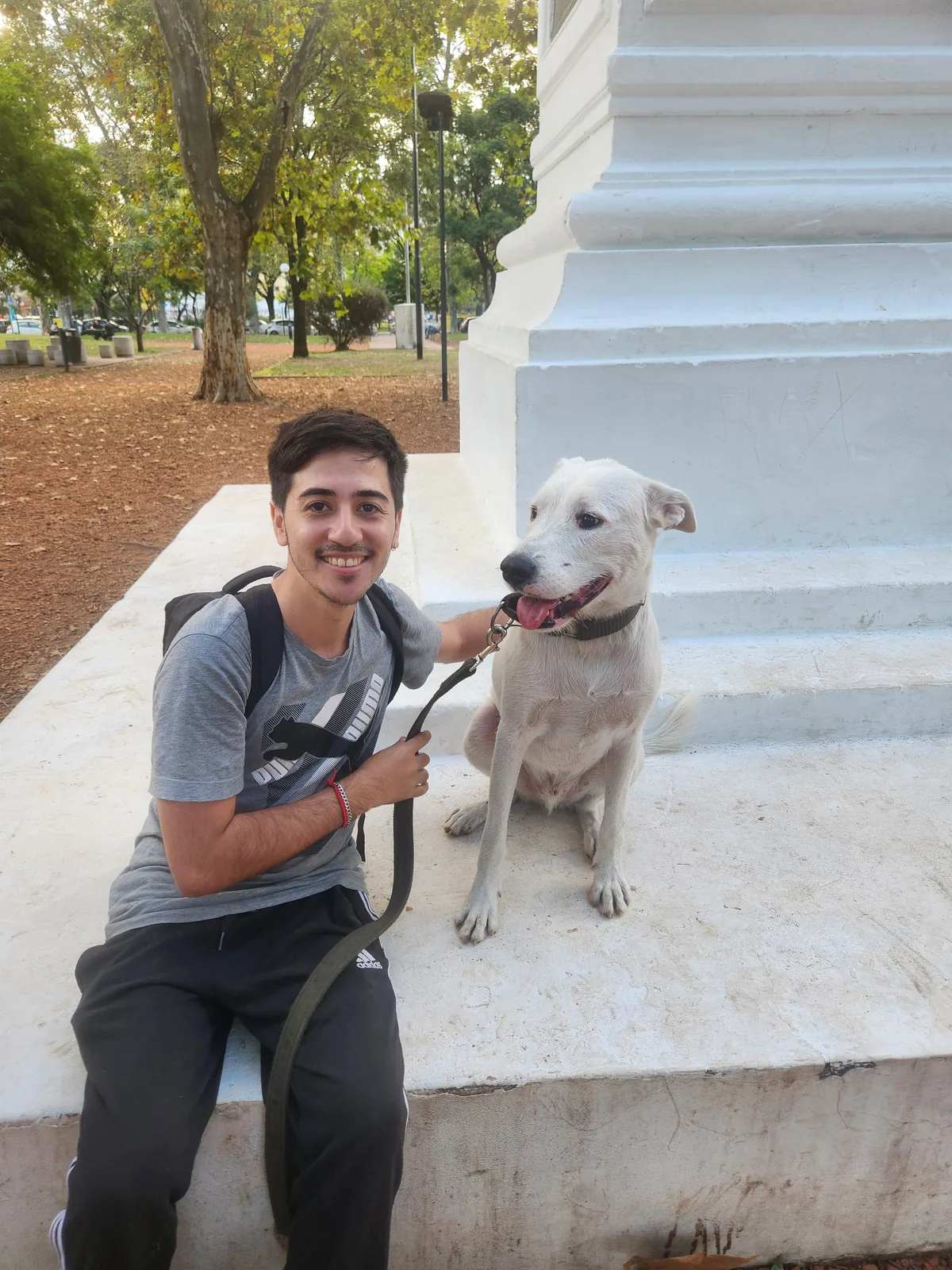Clase de educación canina a domicilio
