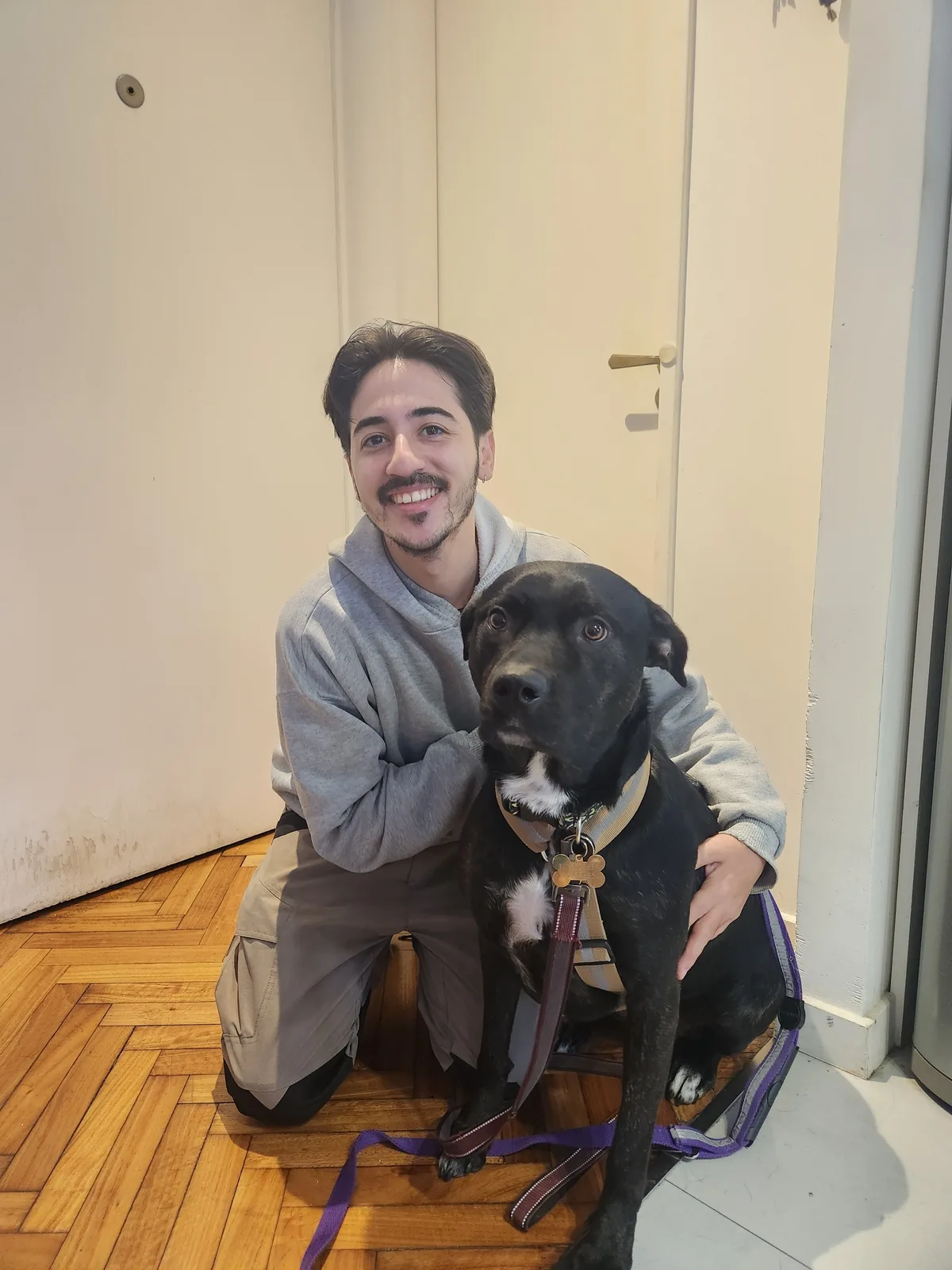 Educación canina a domicilio en CABA